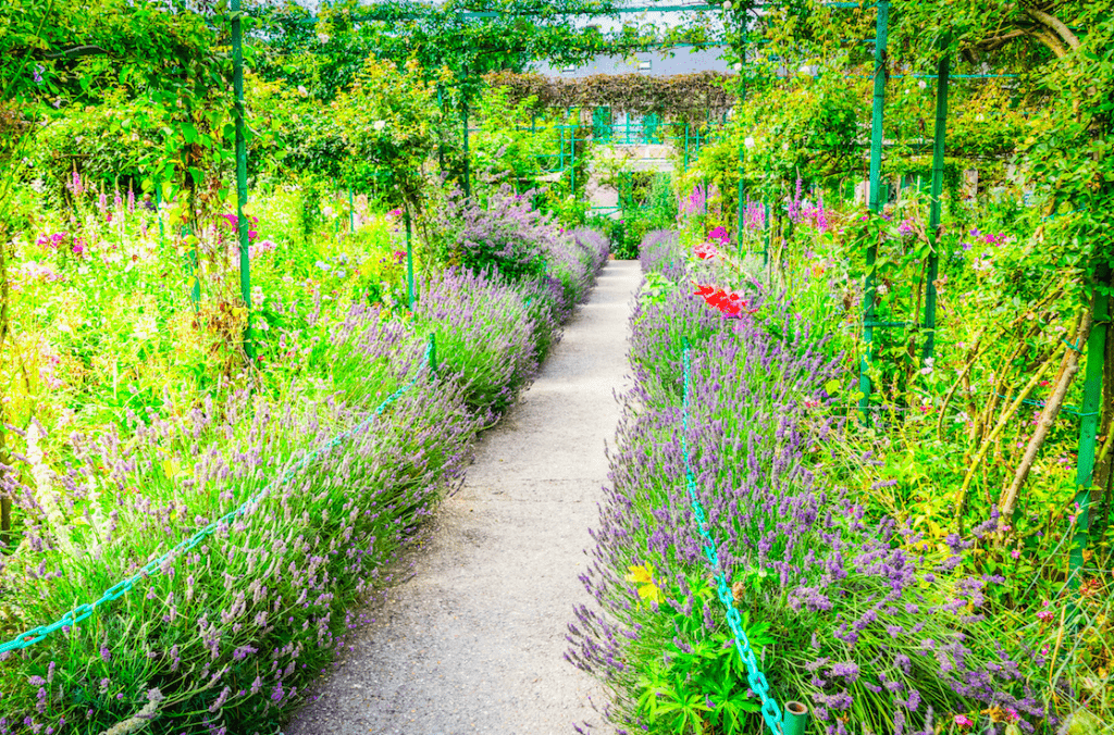 Mariage champêtre: Photos de mariage inoubliables dans les jardins de Giverny