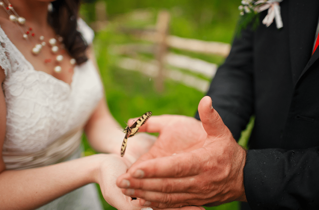 Lâcher de papillons : une expérience unique lors d'un mariage